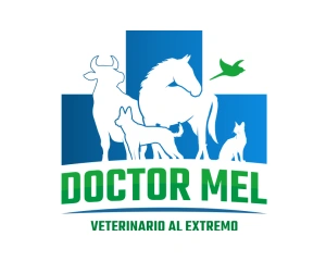 doctor-mel